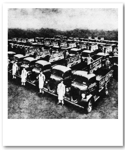 U.C.P. vehicle fleet